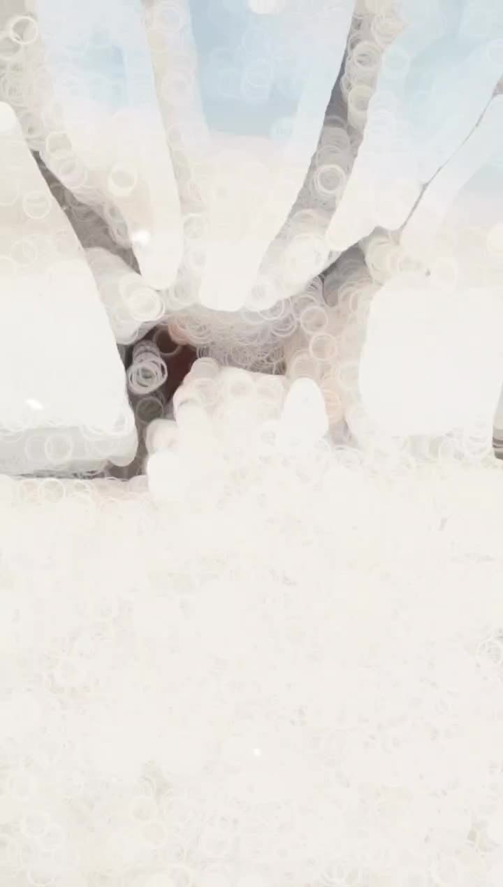 اسب نر|اسب و تجهیزات اسب‌سواری|اشنویه, |دیوار