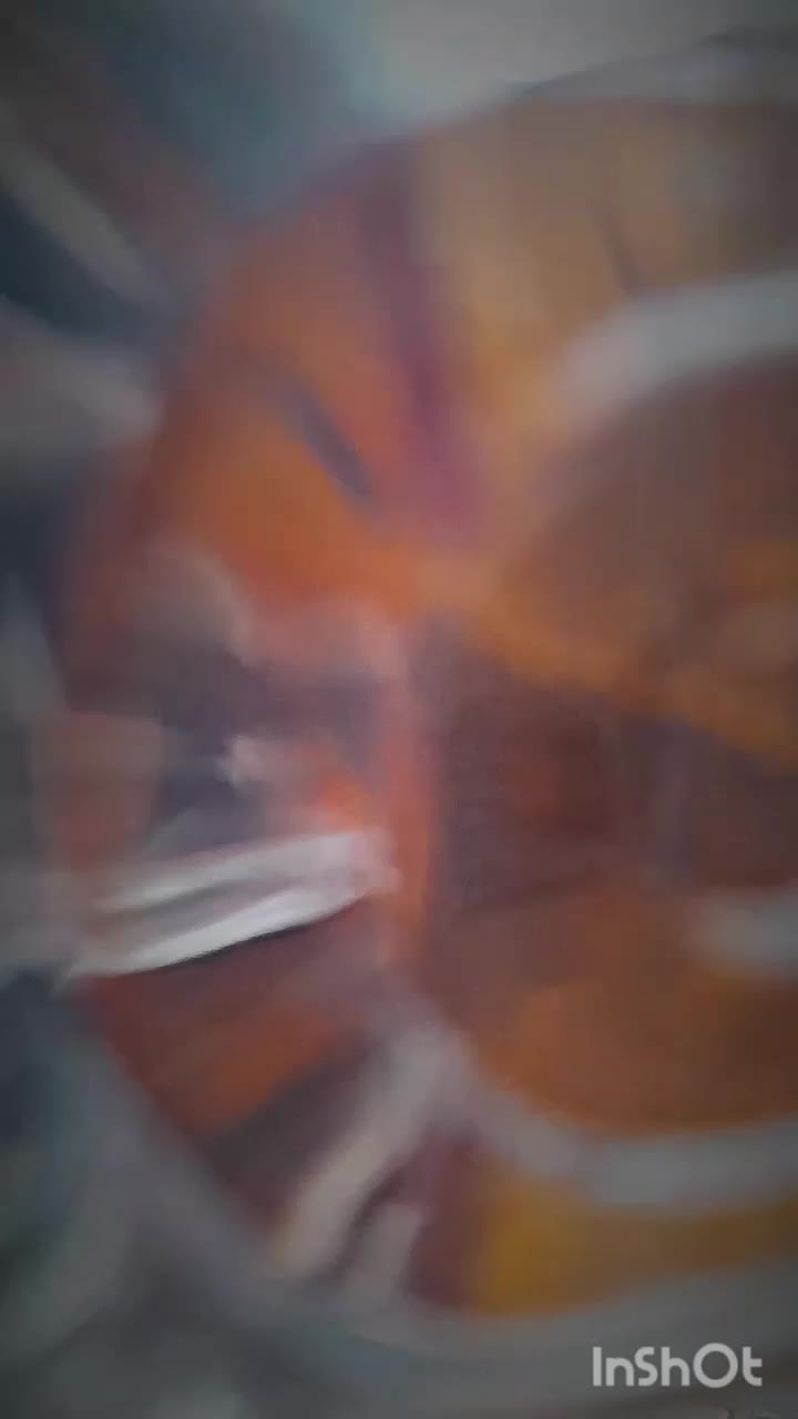 هندا ۱۵۰|موتورسیکلت|بجنورد, |دیوار