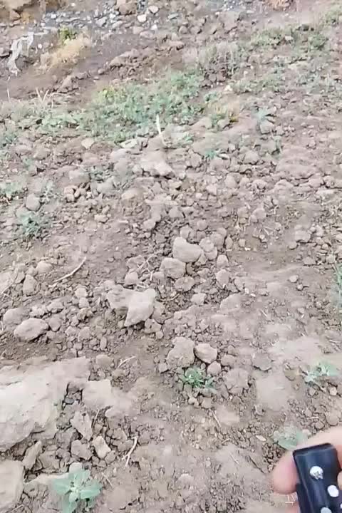 چاقو|کوهنوردی و کمپینگ|مشهد, ایوان|دیوار
