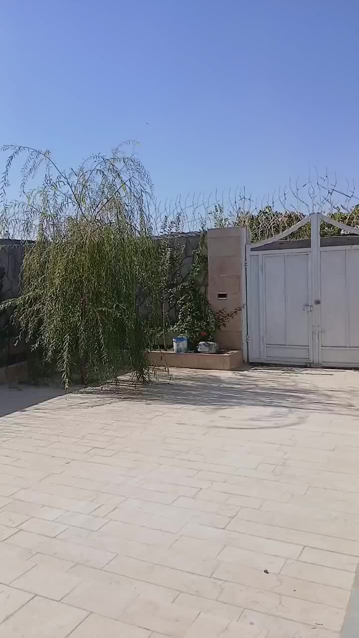 کرایه سالن|اجارهٔ کوتاه‌مدت ویلا و باغ|مشهد, امین آباد|دیوار