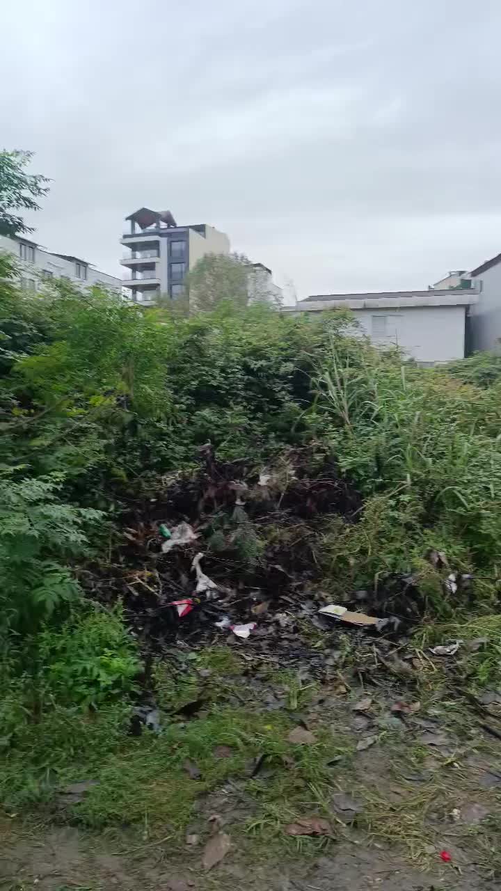 500مترجهت آپارتمان سازی/متل قوروبروی رستوران فرزین|فروش زمین و ملک کلنگی|سلمانشهر, |دیوار