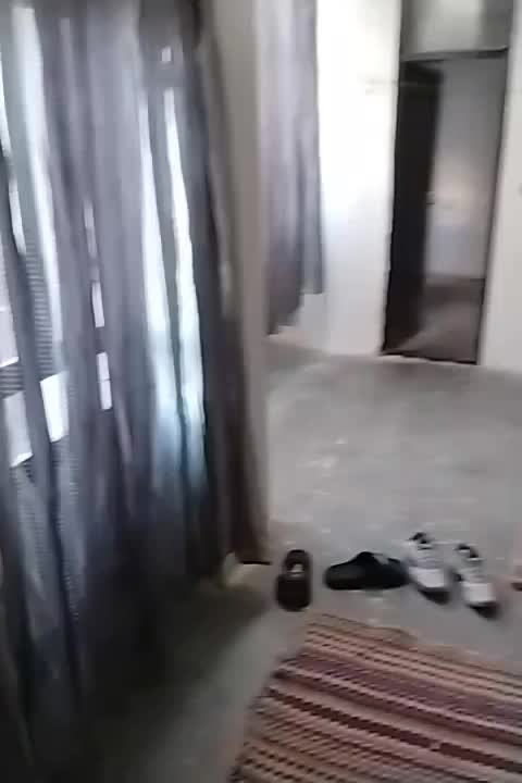 منزل مسکونی میدان سکه کوچه شهید بخشنده|اجارهٔ آپارتمان|کنگاور, |دیوار