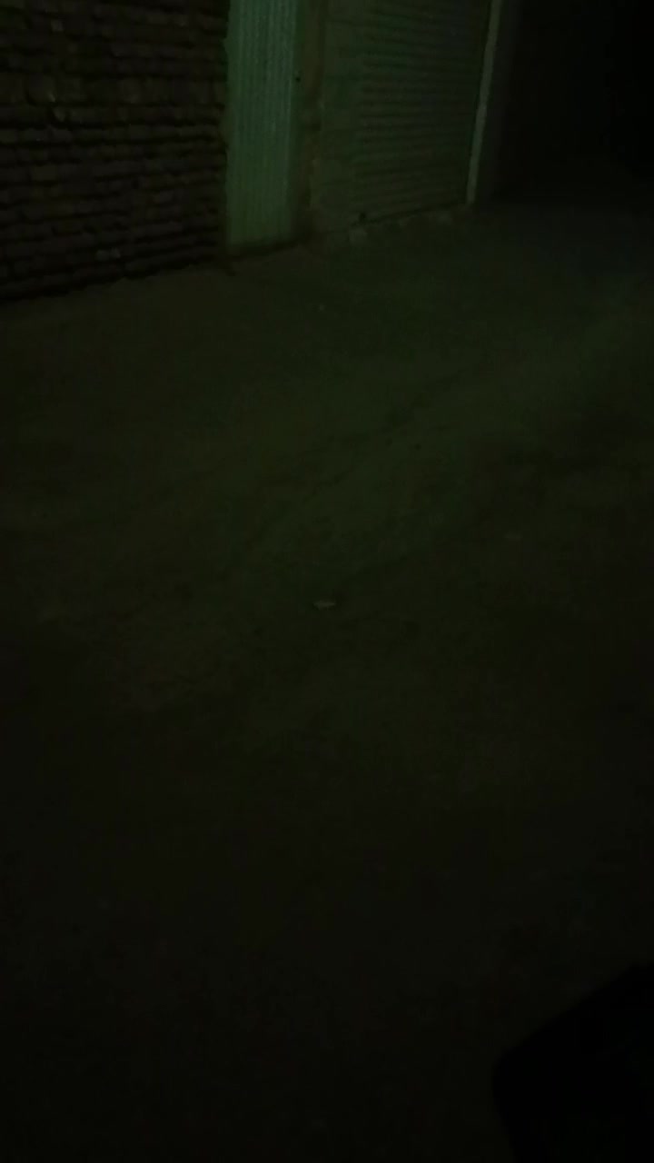 هدلایت|لامپ و چراغ|اردکان, |دیوار