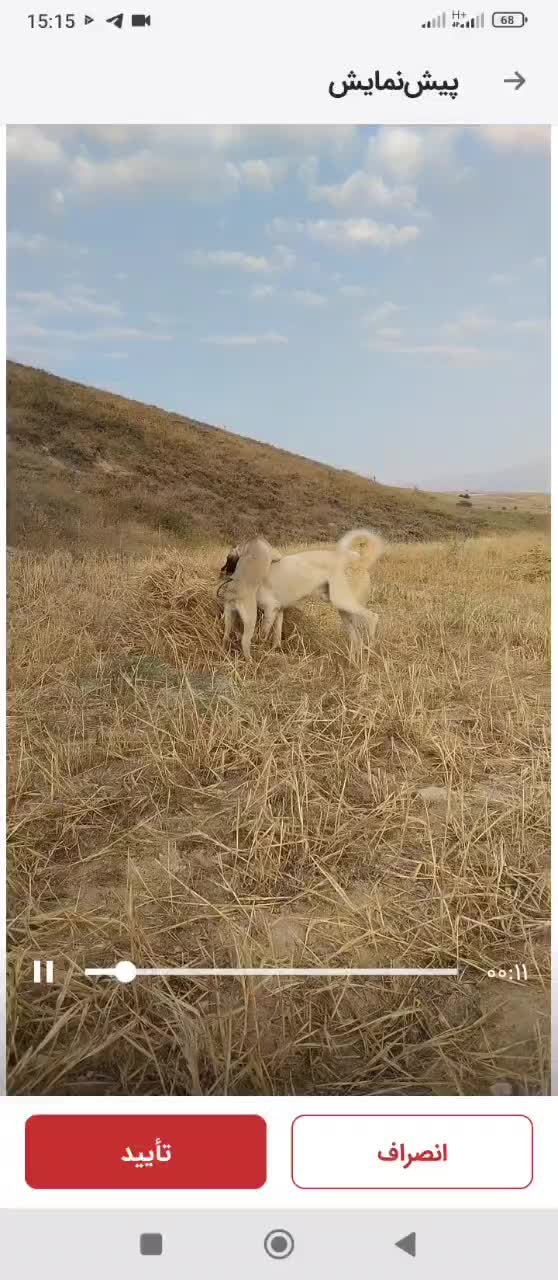 فروشی|عمده‌فروشی|نیر (اردبیل), |دیوار