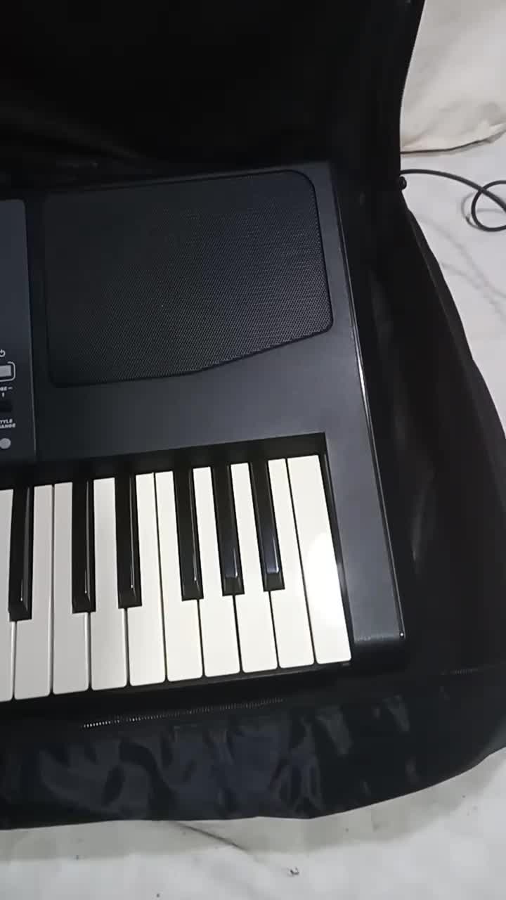 pa600GT|پیانو، کیبورد، آکاردئون|میاندوآب, |دیوار