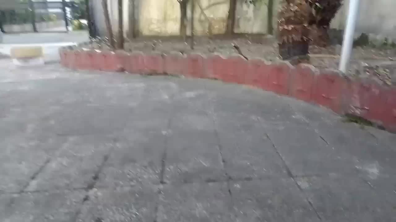 علف تراشی هرس درخت برش چوب کاشت نهال|خدمات باغبانی و درختکاری|عباس‌آباد, |دیوار