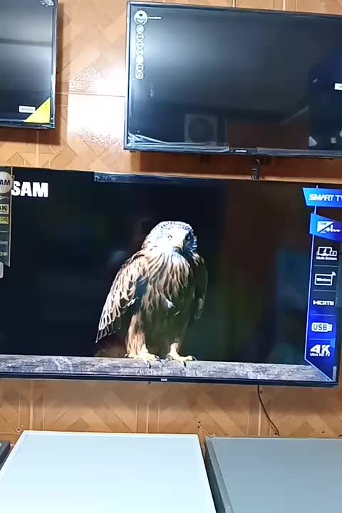 50سام شرکتی|تلویزیون و پروژکتور|پیرانشهر, |دیوار