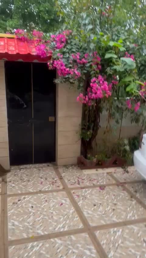 اجاره ویلا روزانه صفر تمیز ویو عالی طبیعت پارکینگ|اجارهٔ کوتاه‌مدت ویلا و باغ|رشت, توشیبا|دیوار