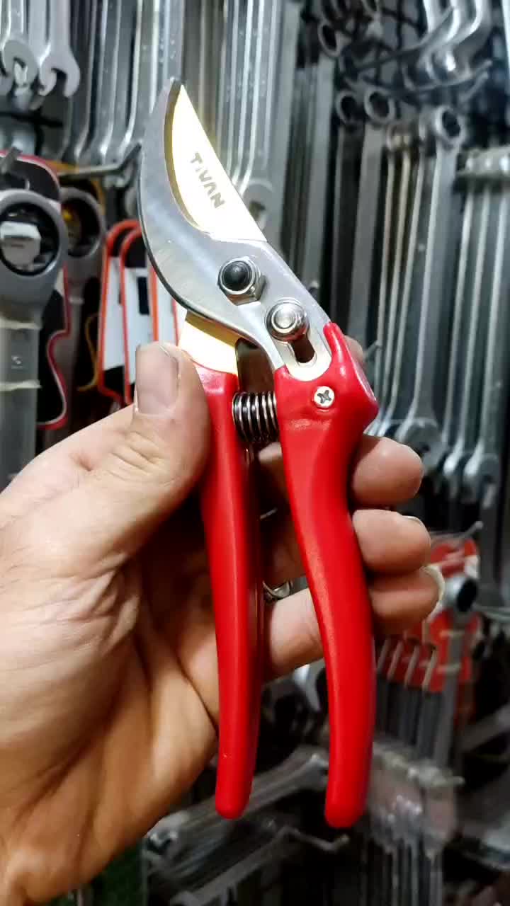 قیچی باغبانی تیوان تیغه تیتانیوم اصلی ، ابزار آچار|ابزارآلات|سبزوار, هویزه|دیوار