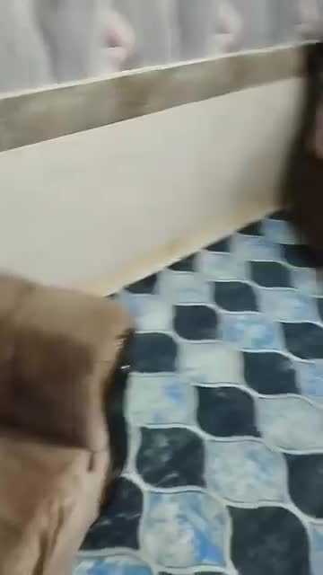 مناسب خانواده|اجارهٔ آپارتمان|گرگان, |دیوار