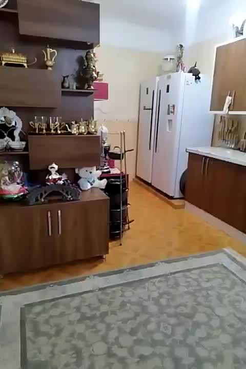 اجاره منزل ویلایی|اجارهٔ خانه و ویلا|قائم‌شهر, |دیوار