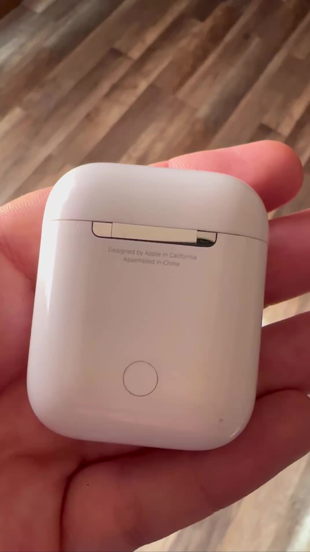 ایرپاد ۲ اپل اورجینال|لوازم جانبی موبایل و تبلت|رشت, کاکتوس|دیوار