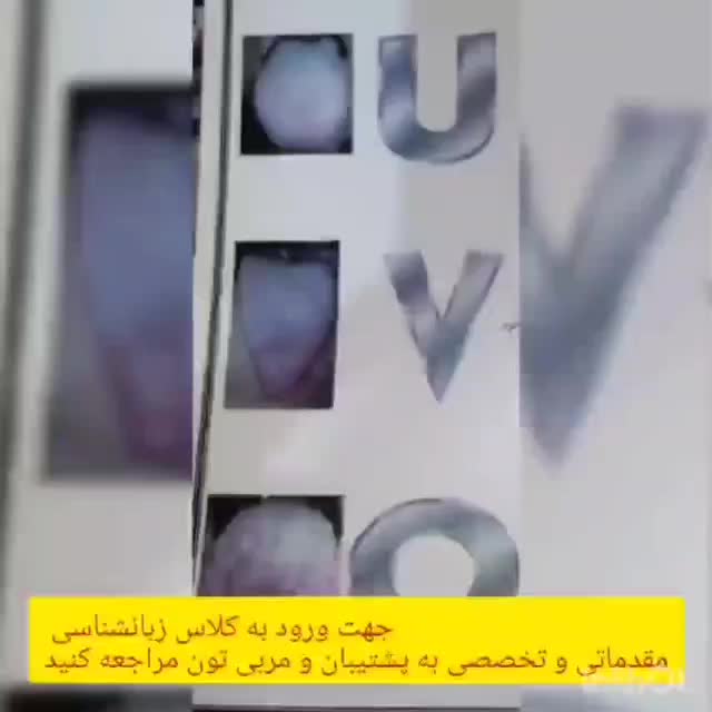 کار در منزل ویژه بانوان به همراه آموزش|استخدام آموزشی|قم, شهید رجایی|دیوار