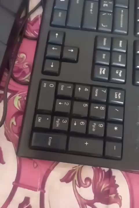 دوعدد کیبورد|قطعات و لوازم جانبی رایانه|برخوار, |دیوار