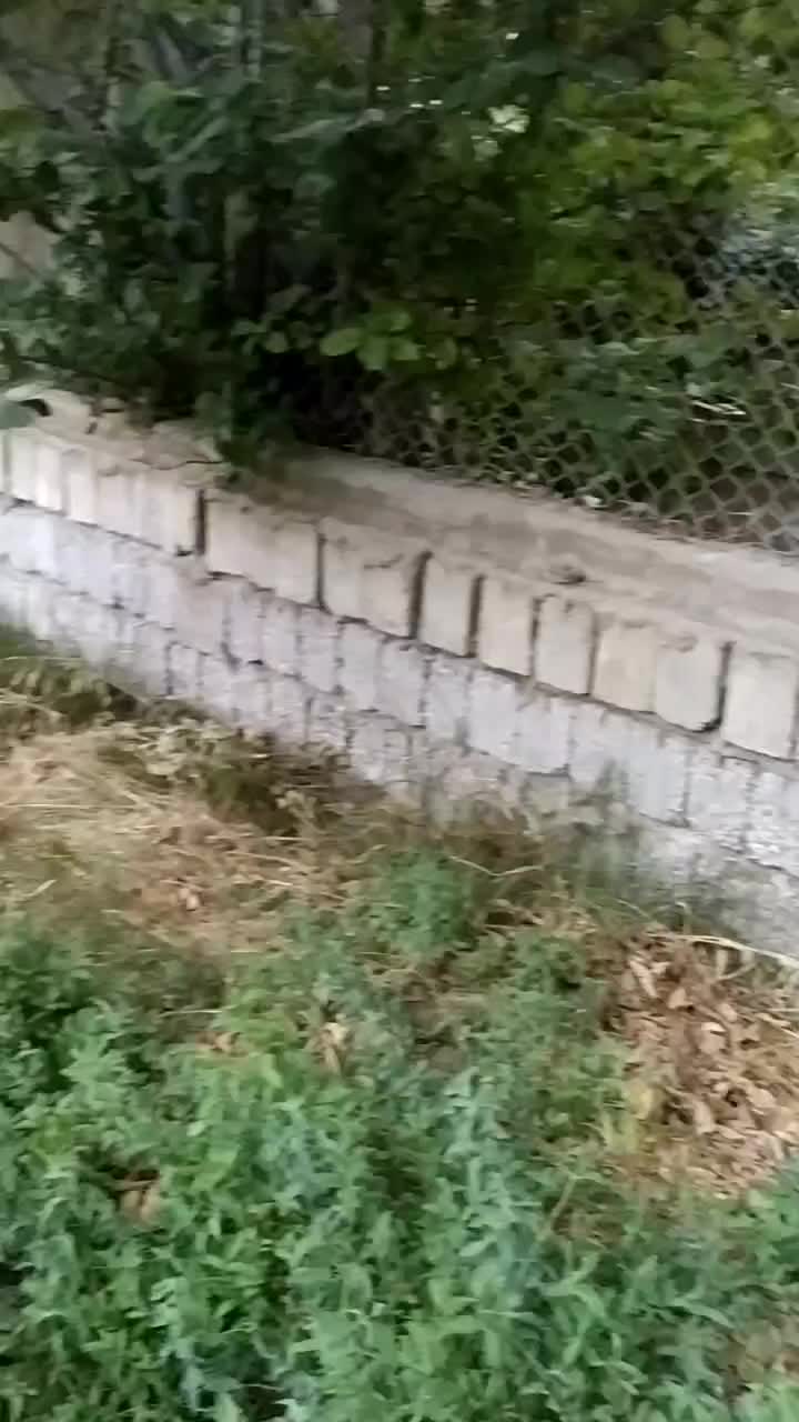 باغ پلاک دوم رودخانه روستای چمنار|فروش دفتر صنعتی، کشاورزی، تجاری|سامان, |دیوار