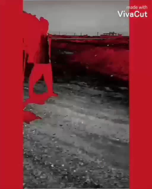 نریون کرد بازی دار|اسب و تجهیزات اسب‌سواری|رشت, فرزانه|دیوار