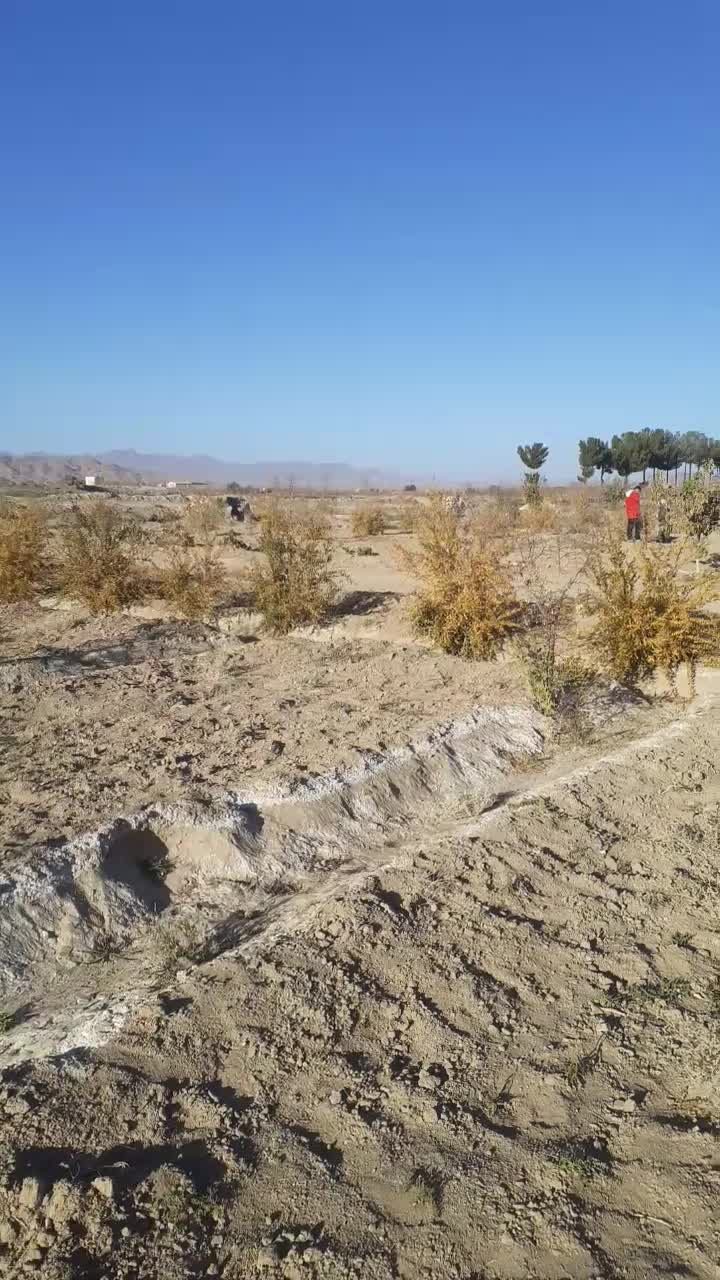 باغ۱۸۰۰و۱۵۰۰متری کلاته ملک سندتکبرگ با آب کشاورزی|فروش دفتر صنعتی، کشاورزی، تجاری|خوسف, |دیوار