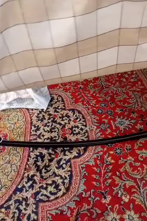 تخت خواب فلزی کودک|اسباب و اثاث بچه|ملایر, |دیوار