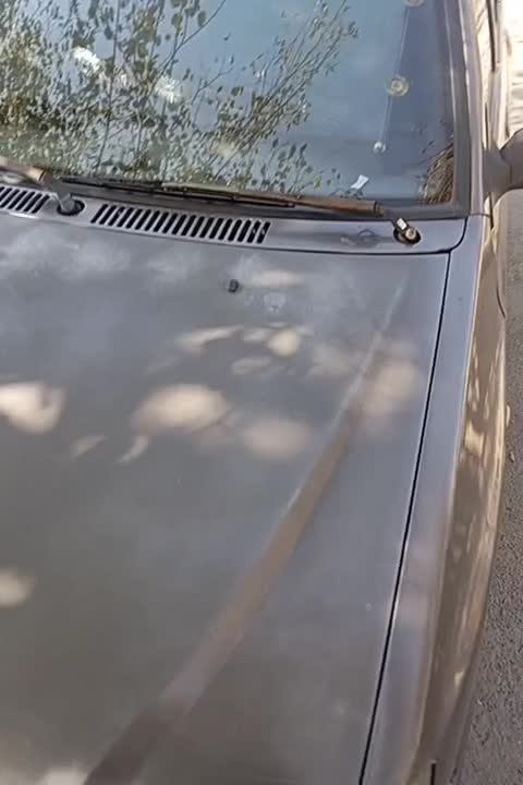 خودرو پراید ۱۳۹۱|خودرو سواری و وانت|ری, جوانمرد قصاب|دیوار