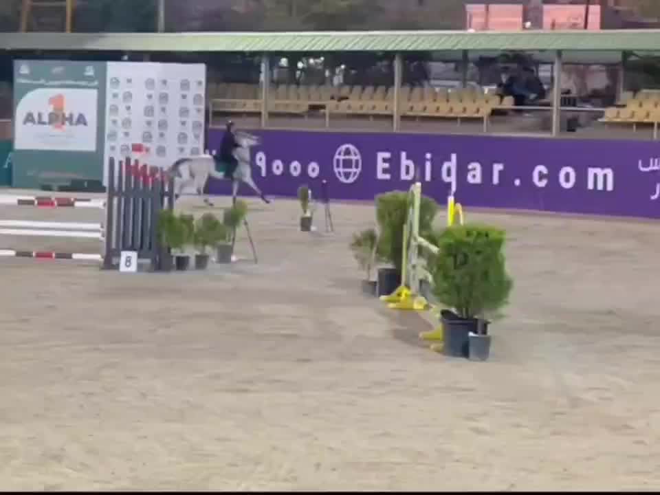 اسب|اسب و تجهیزات اسب‌سواری|قیامدشت - خاورشهر, |دیوار