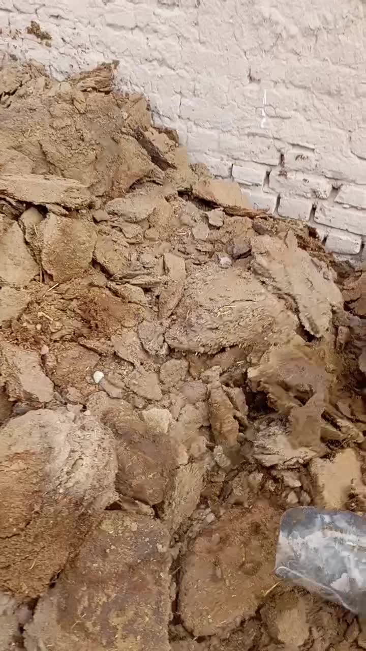 کود گوسفندی تازه و تمیز|خدمات باغبانی و درختکاری|کاشمر, |دیوار