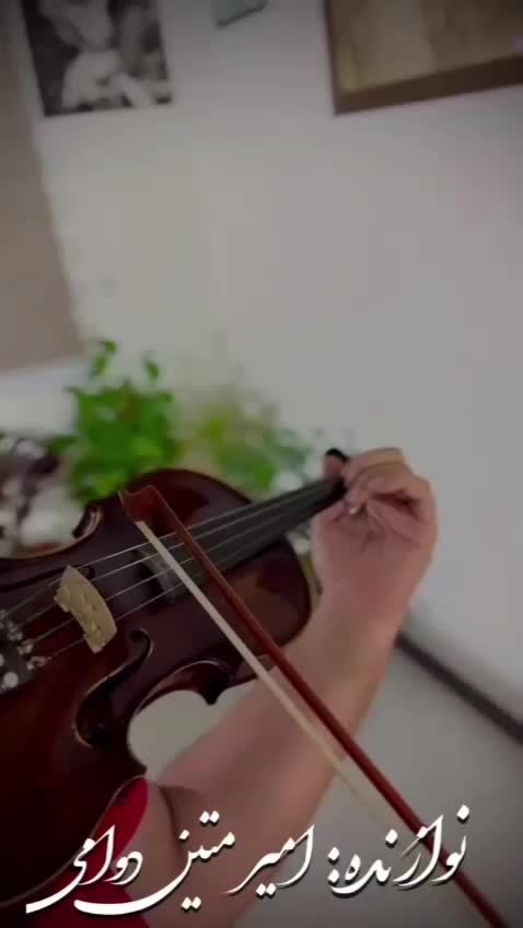 انواع ویولن handmade  workshop|ویولن|اصفهان, نقش جهان|دیوار