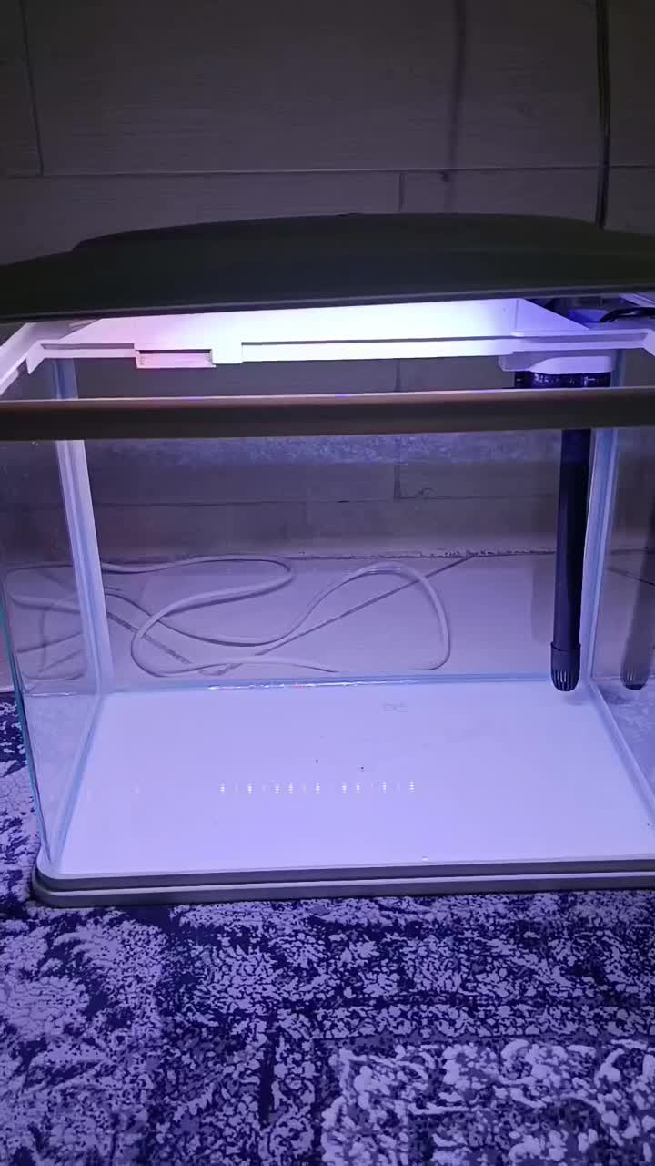 اکواریوم ماهیران کاملا سالم دوماه کارکرد|ماهی|الوند, |دیوار