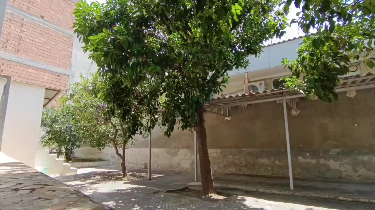 سمپاشی سم پاشی ساس سوسک نانو۱۰۰٪ تضمینی کک.مورچه|خدمات نظافت|گرگان, |دیوار