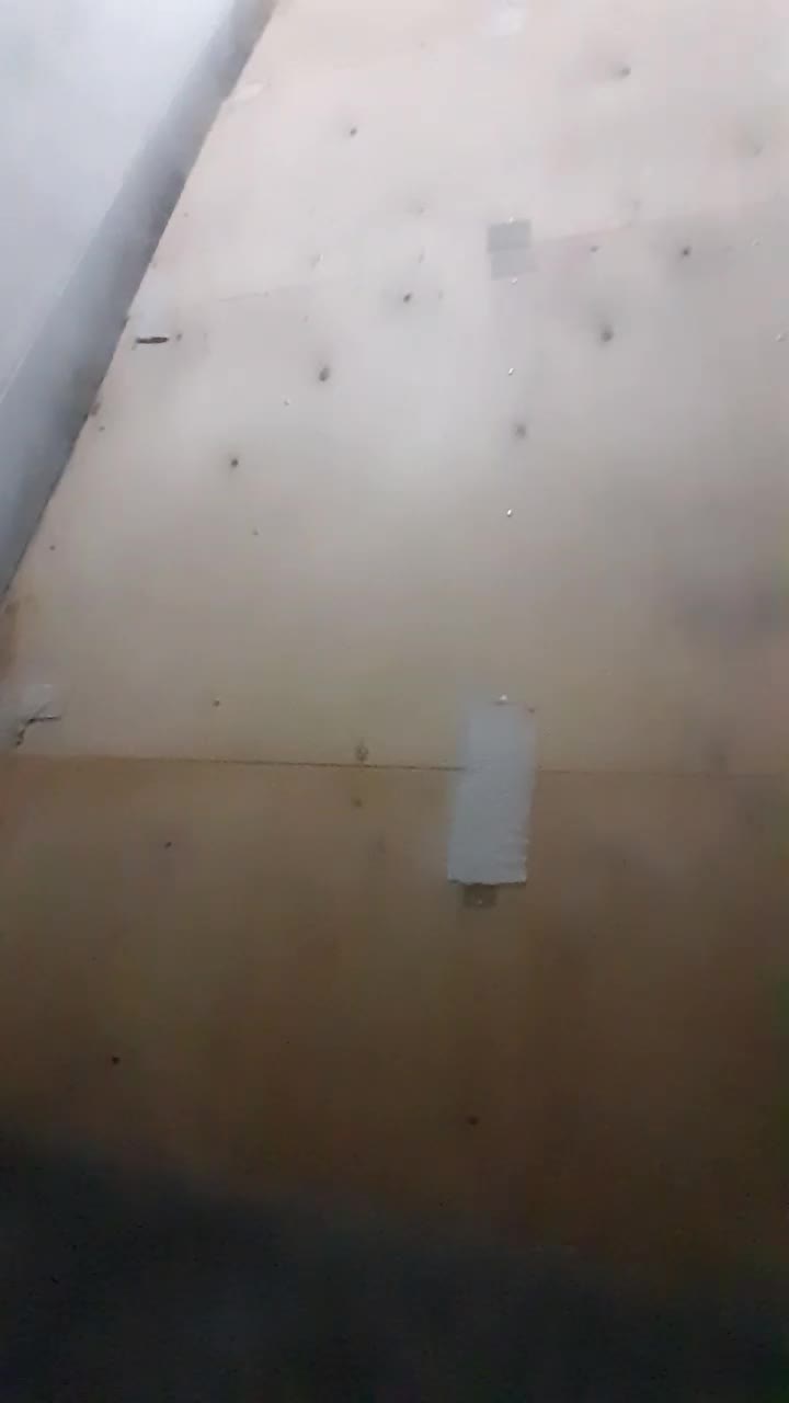 پیست فنری ژیمناستیک|تجهیزات ورزشی|نقده, |دیوار