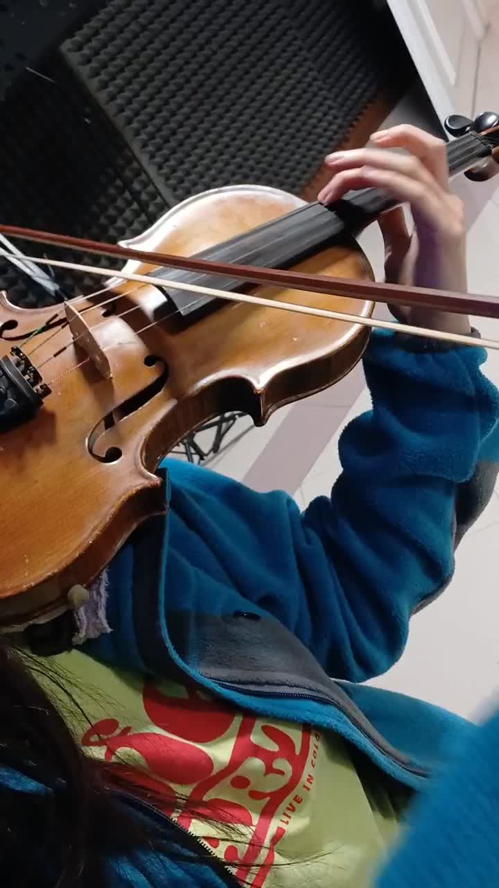 فروش ساز عتیقه توافقی|ویولن|تهران, چیذر|دیوار