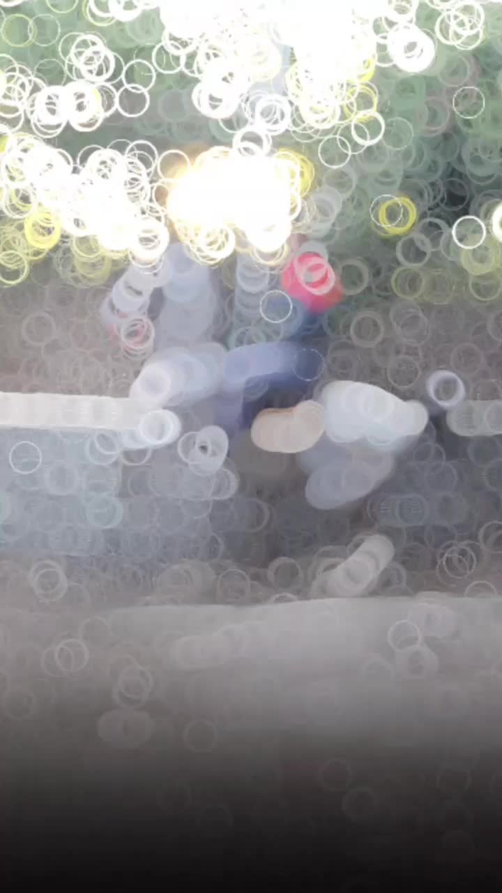 برکت نریان کرد|اسب و تجهیزات اسب‌سواری|تیران, |دیوار