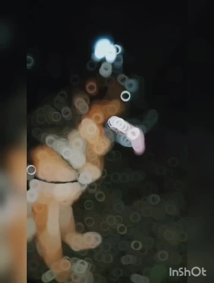 واگذاری ژرمن شپرد|سگ|خرمآباد (تنکابن), |دیوار