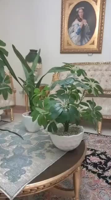 یدک درختچه وتعداد ی گل گدان مصنوعی|گل مصنوعی|تهران, هروی|دیوار