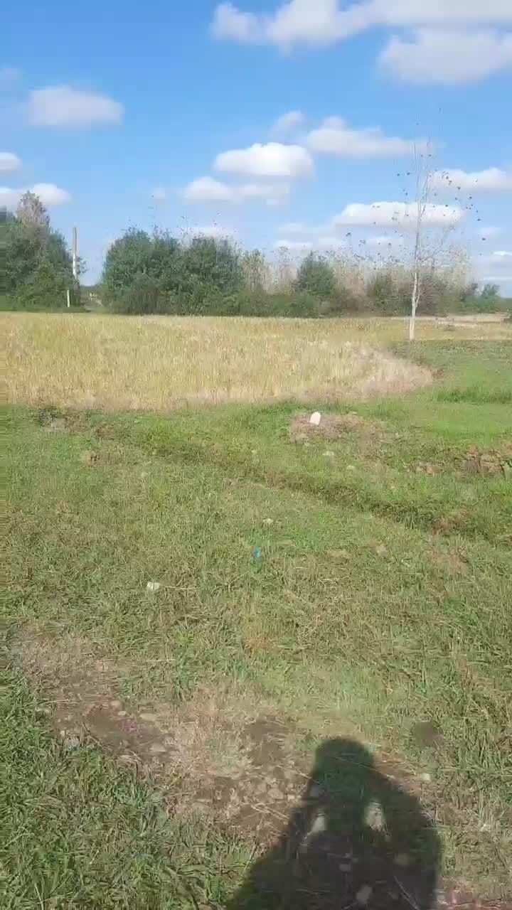 فروش زمین|فروش زمین و ملک کلنگی|طاهرگوراب, |دیوار