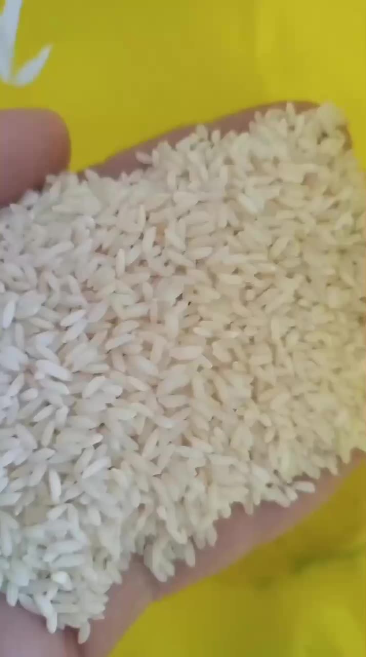 برنج عنبربو|خوردنی و آشامیدنی|فارسان, |دیوار