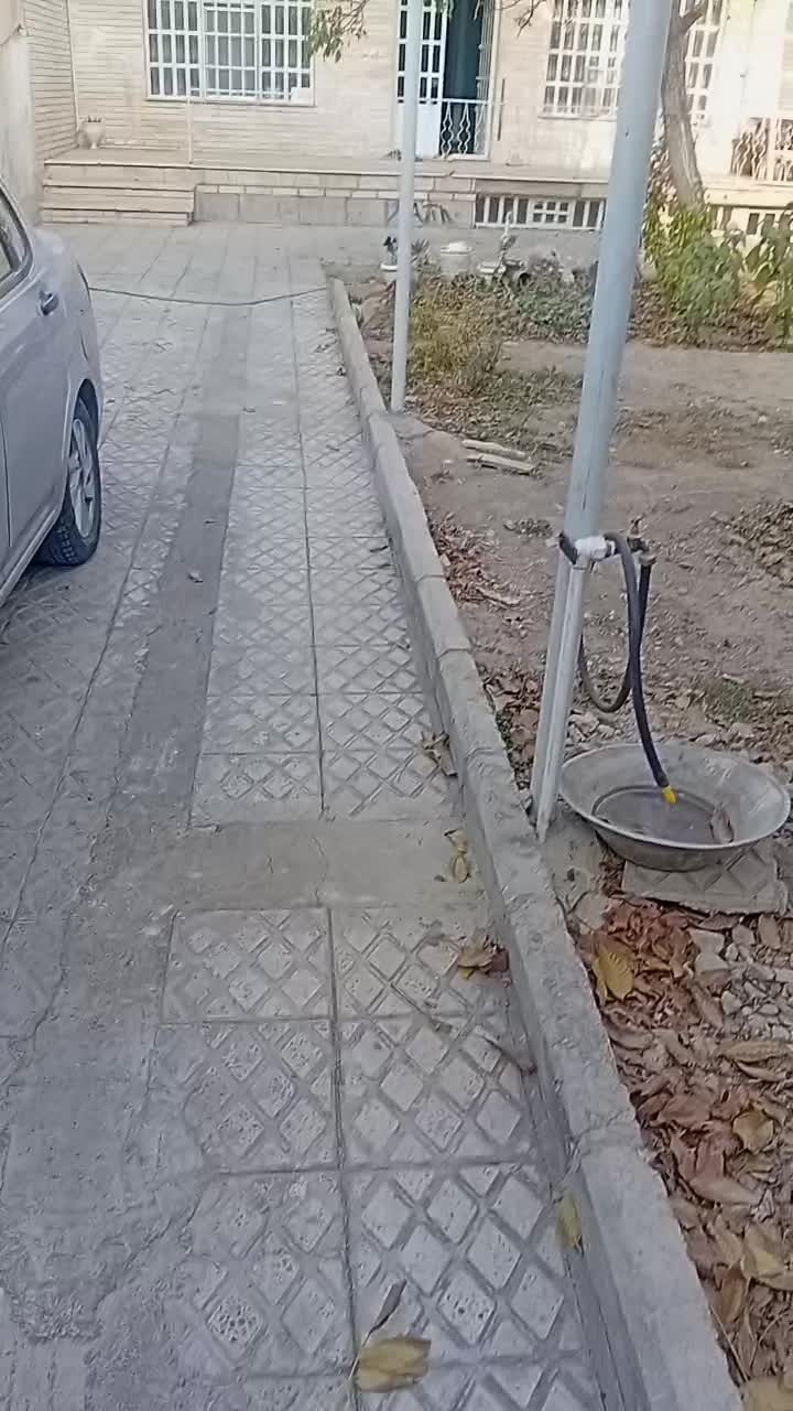 فروش ملک|فروش زمین و ملک کلنگی|فردیس, سپید دشت|دیوار