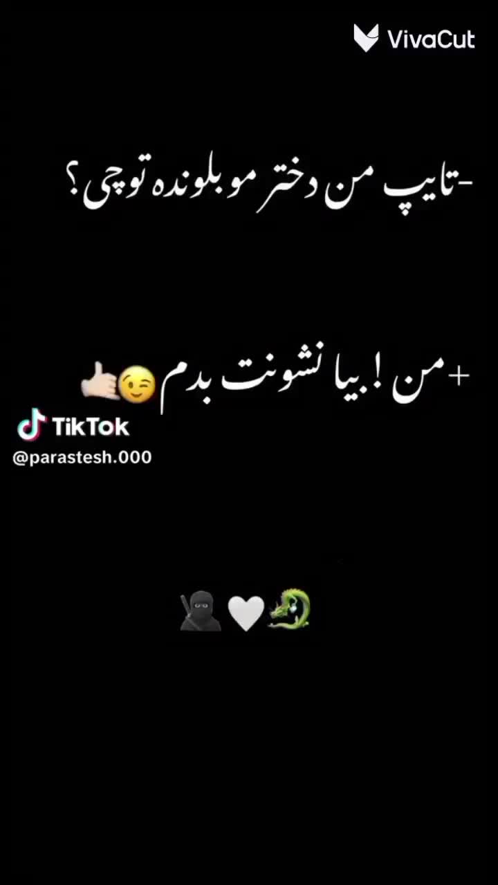 کفتر|حیوانات|امیدیه, |دیوار