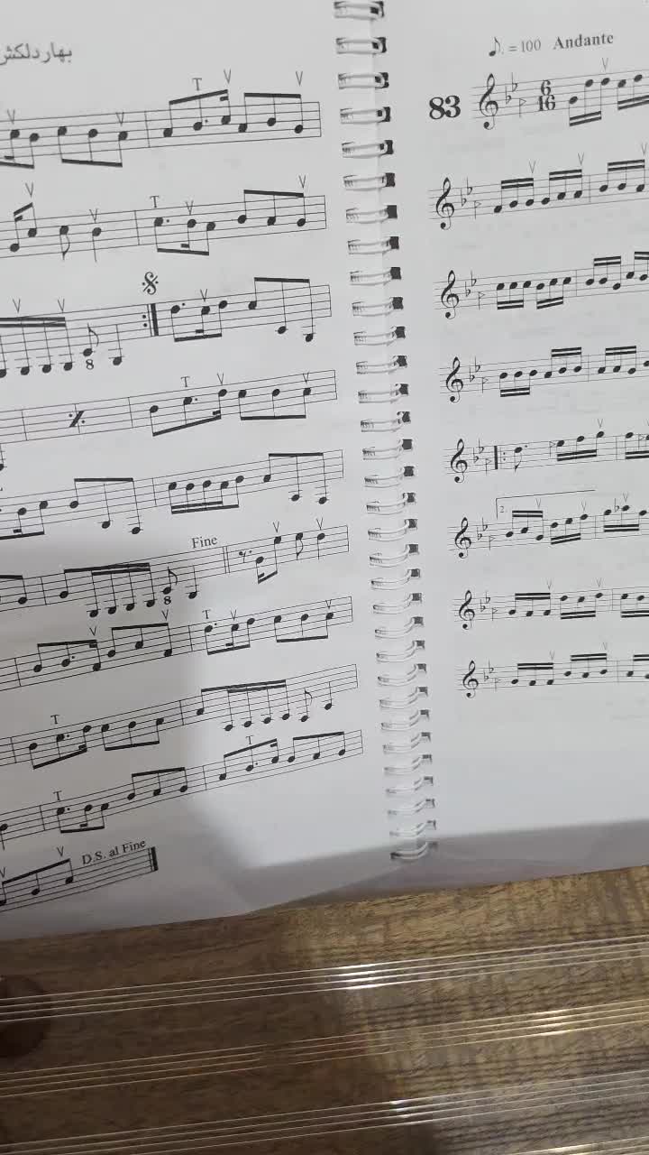 سنتور حرفه ای سه مهر ویژه موسوی کل وسایل و گارانتی|سازهای سنتی|نظرآباد, نظرآباد|دیوار