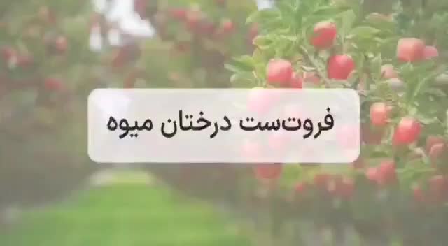 ۱۲۰ عددسطل کود یک کیلویی ارگانیک قیمت قبل|گل و گیاه طبیعی|شیراز, دباغ خانه|دیوار