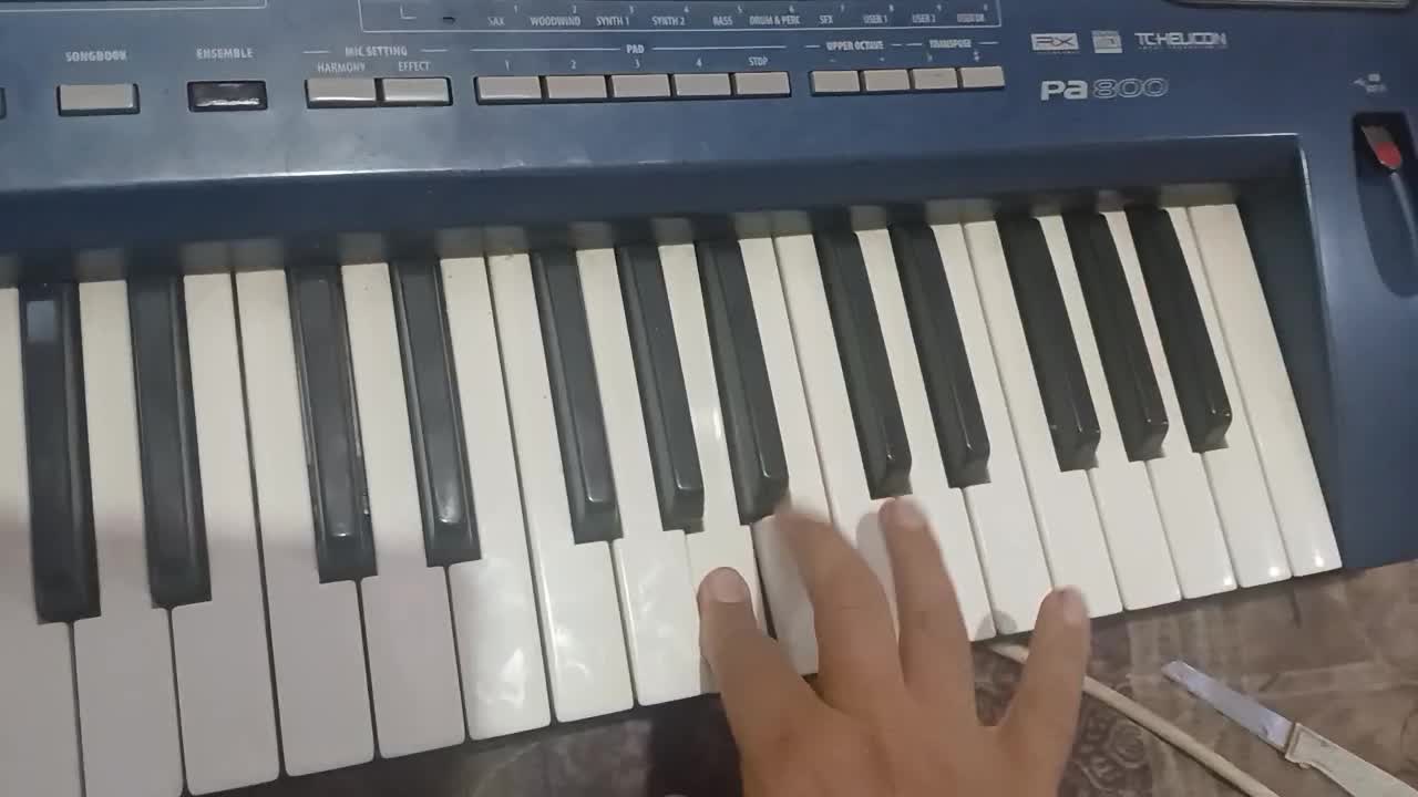 فروشpa800رم256|پیانو، کیبورد، آکاردئون|بم, |دیوار