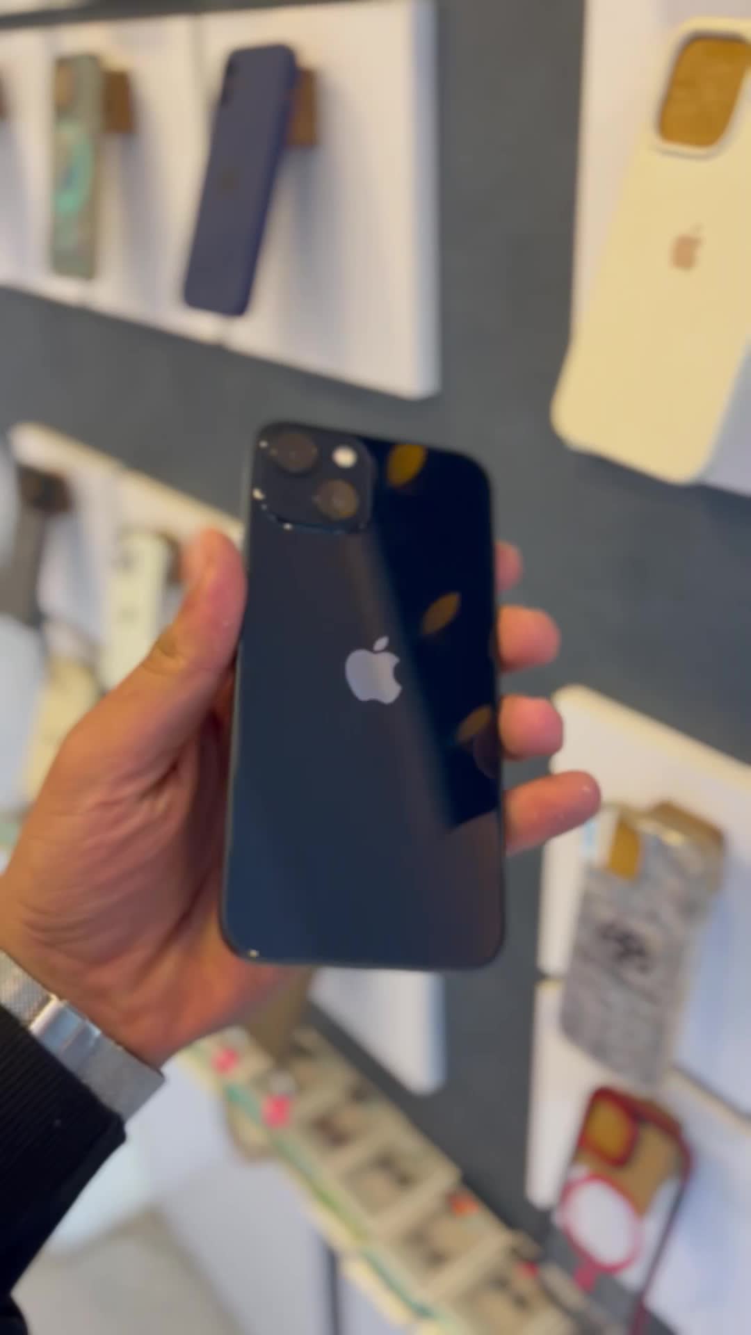 Iphone13normal|موبایل|سنندج, |دیوار