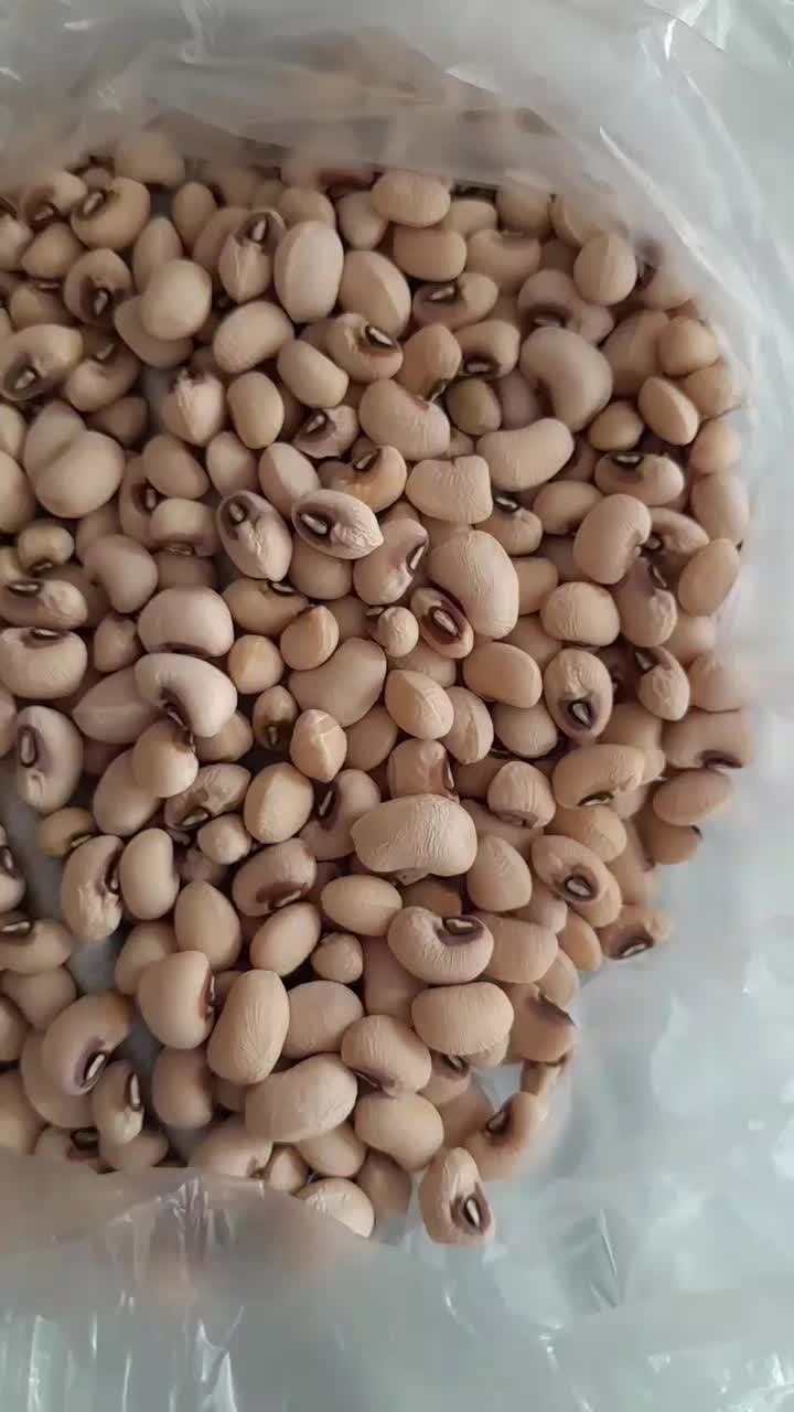 ماش|خوردنی و آشامیدنی|بران, |دیوار