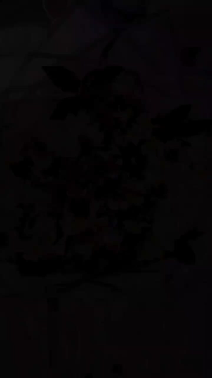 بادکنک آرایی تم تولد بلوط|خدمات پذیرایی، مراسم|ارومیه, |دیوار