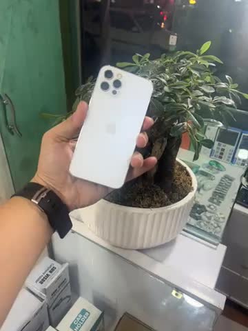 ایفون۱۲ پرو / اقساط|موبایل|قم, مهر آباد|دیوار