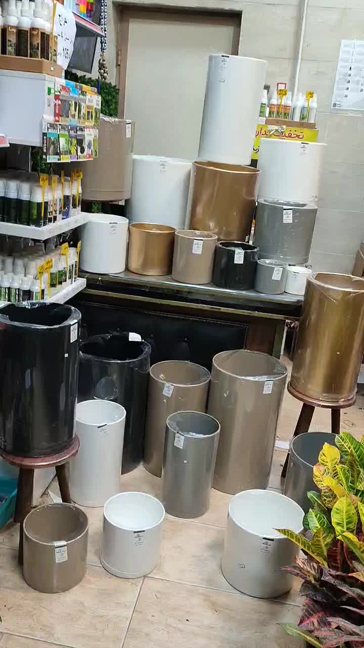 گلدان پلیمری مهرنی|گل و گیاه طبیعی|رشت, فلسطین|دیوار