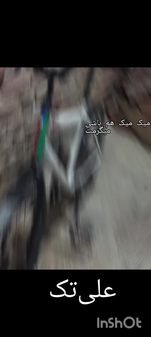 دوچرخه 20|دوچرخه، اسکیت، اسکوتر|زابل, |دیوار