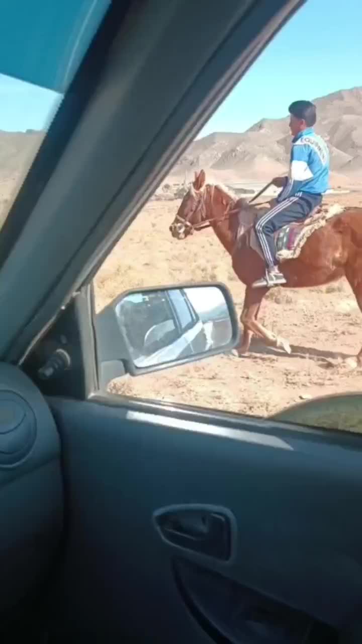 اسب|اسب و تجهیزات اسب‌سواری|ملک‌آباد, |دیوار