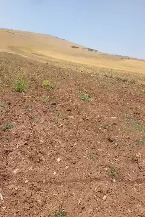 فروش زمین کشاورزی ۲۷۰۰متر سرجاده اصلی سراب نیلوفر|فروش زمین و ملک کلنگی|کرمانشاه, |دیوار