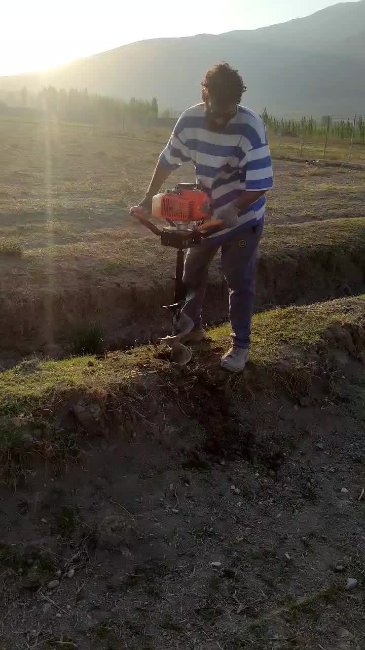 فنس تولید و نصب|خدمات باغبانی و درختکاری|قائم‌شهر, |دیوار