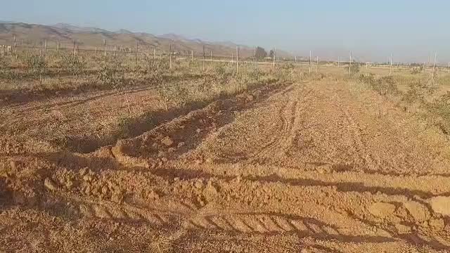 باغ پسته 4000 متری|فروش زمین و ملک کلنگی|رونیز, |دیوار